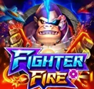 Fighter Fire